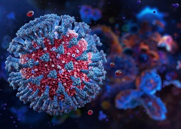 NCDC IDENTIFIES TWO NEW SUSPECTED EBOLA CASES